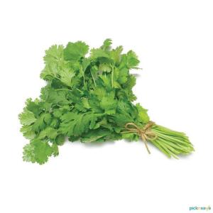 Coriander ( Pack of 2 Bunch )